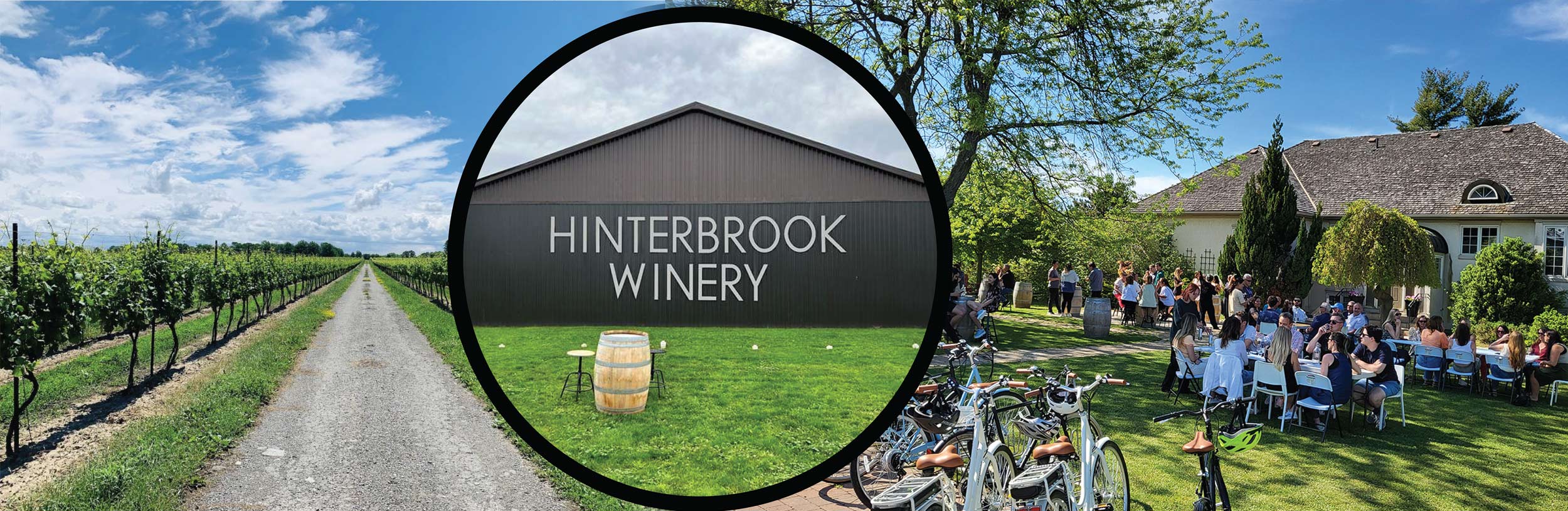 Hinterbrook Winery