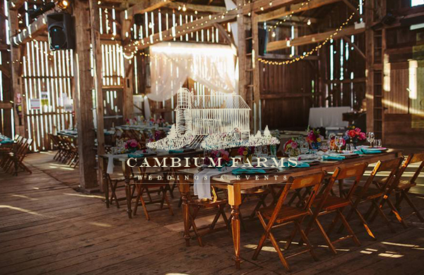 Cambium Farms